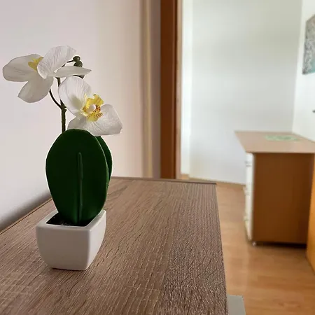 Apartmán Purple Cacti *