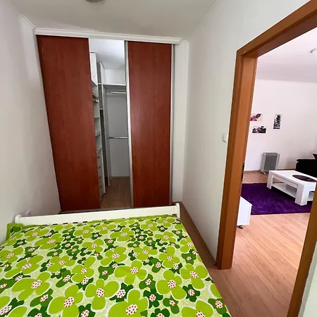 Purple Cacti Apartment